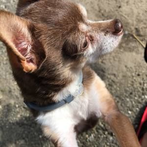 Meet your Posher, Wilma